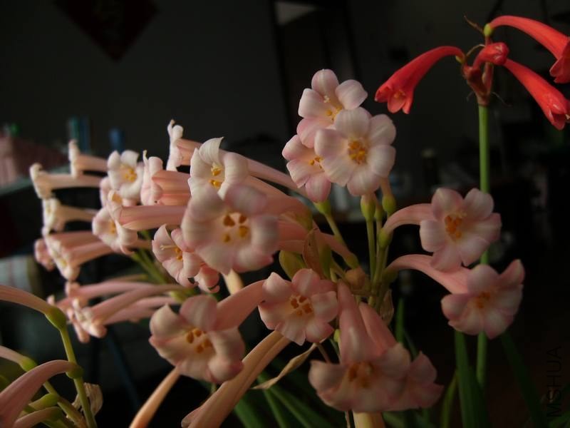 PICT9477.jpg
