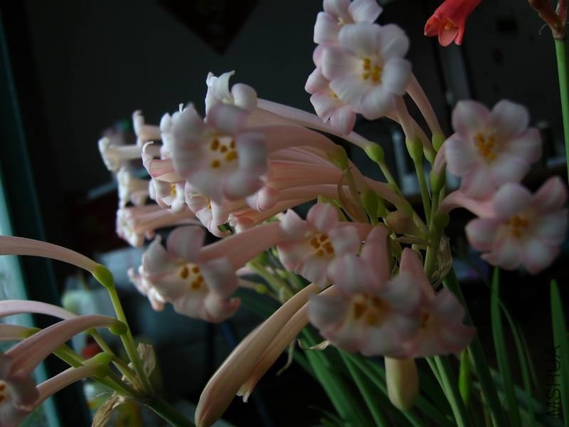 PICT9481.jpg