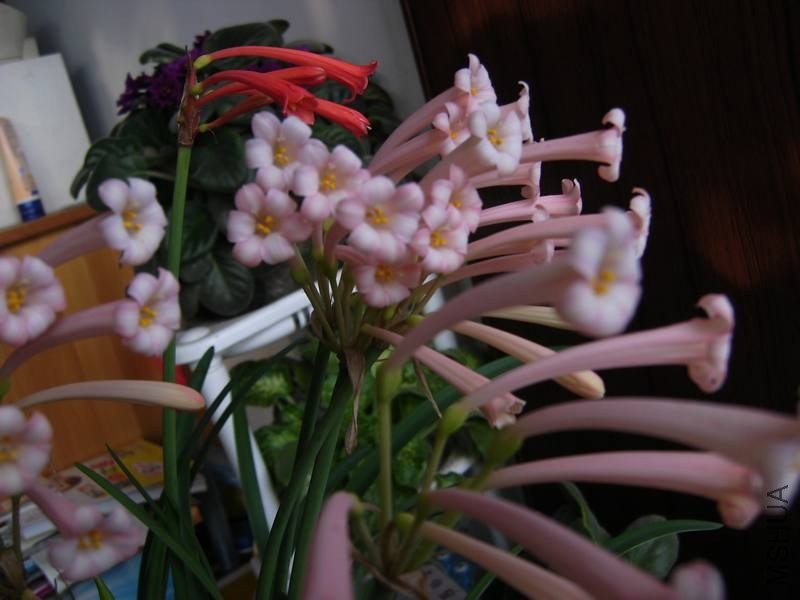 PICT9484.jpg