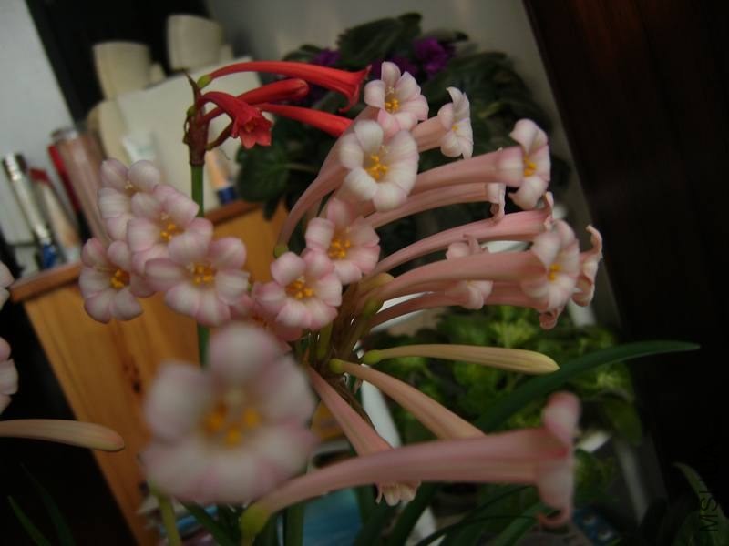 PICT9485.jpg