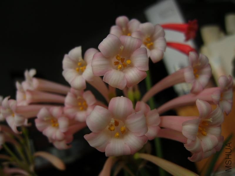 PICT9486.jpg