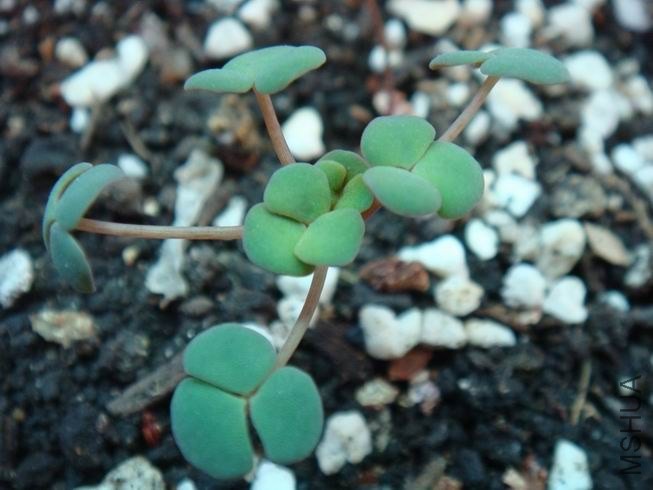 ������С DSC05301.JPG