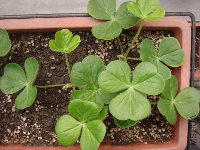 ������С DSC05314.JPG