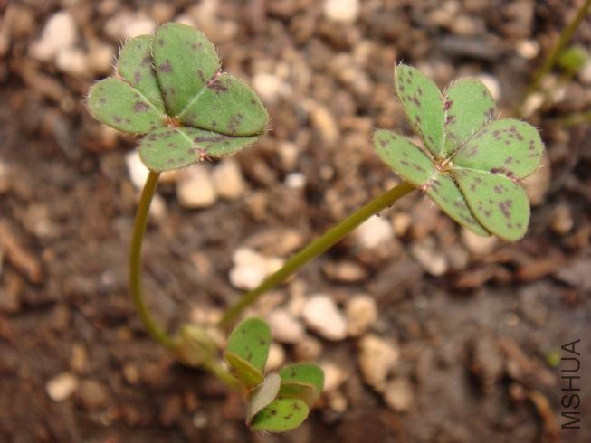 ������С DSC05317.JPG