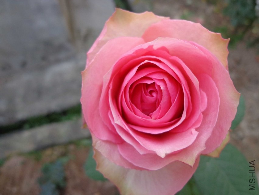 DSC00551.JPG