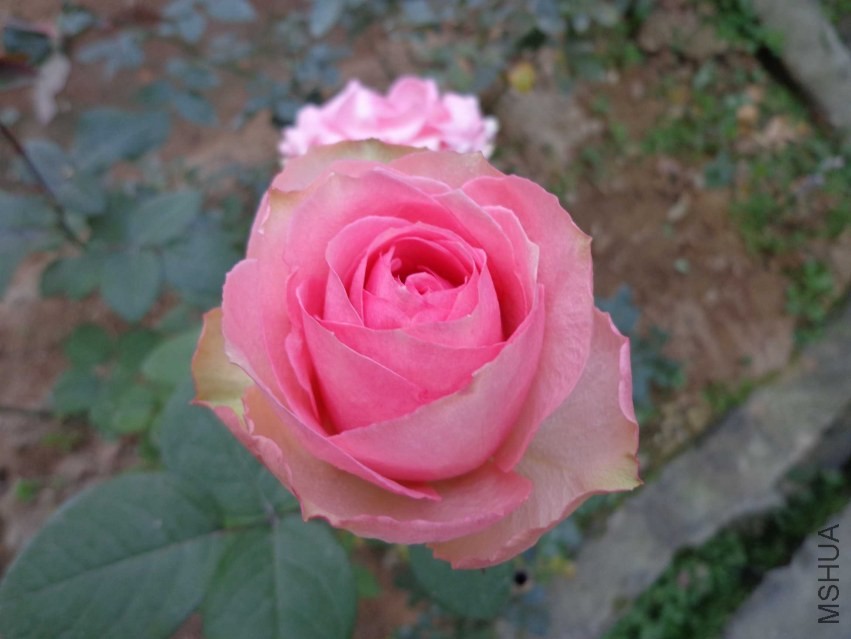 DSC00553.JPG
