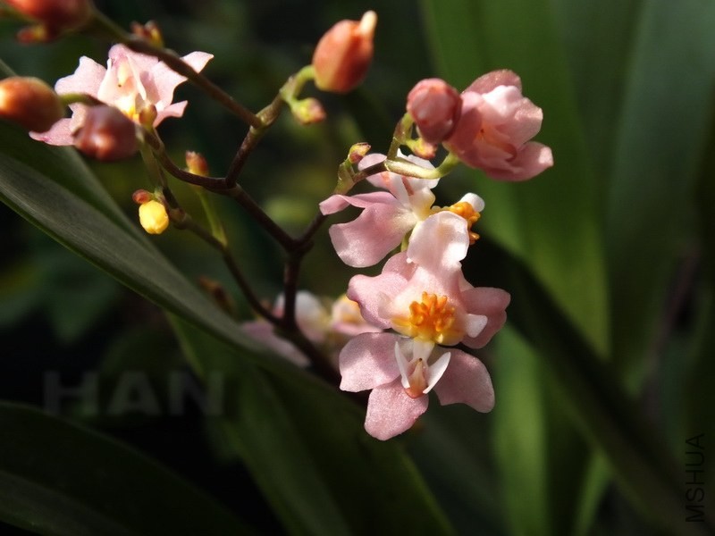 DSCF7275.JPG