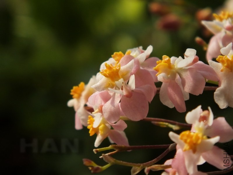 DSCF7227.JPG
