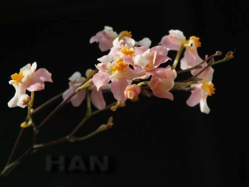 DSCF7034.JPG