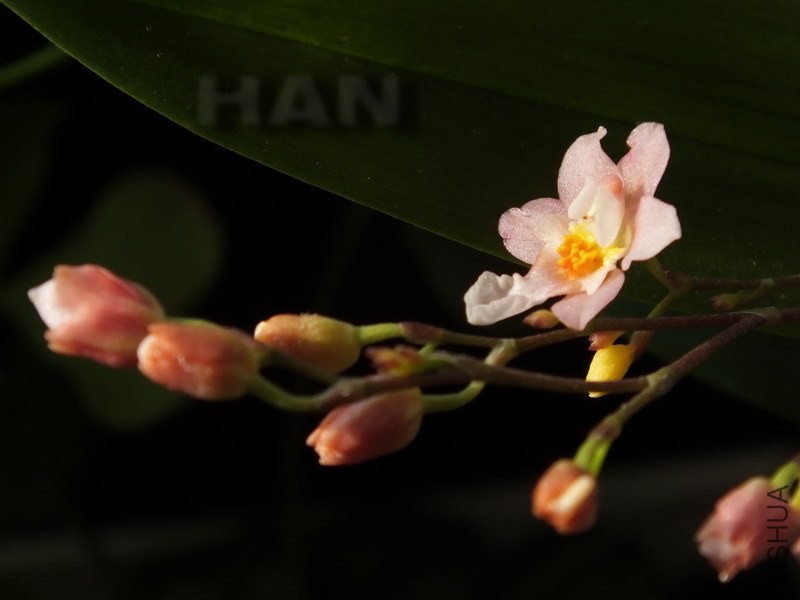 DSCF7264.JPG