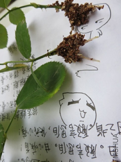 QQͼƬ20131223222904.jpg