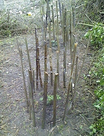 QQͼƬ20131224093104.jpg