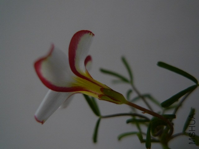 P1070174.JPG