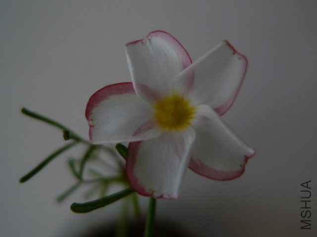 P1070177.JPG