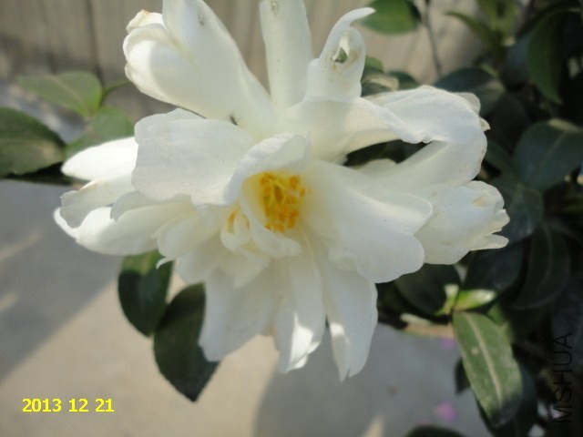 DSC04246.JPG