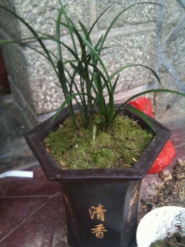 2013-12-24 144107.jpg