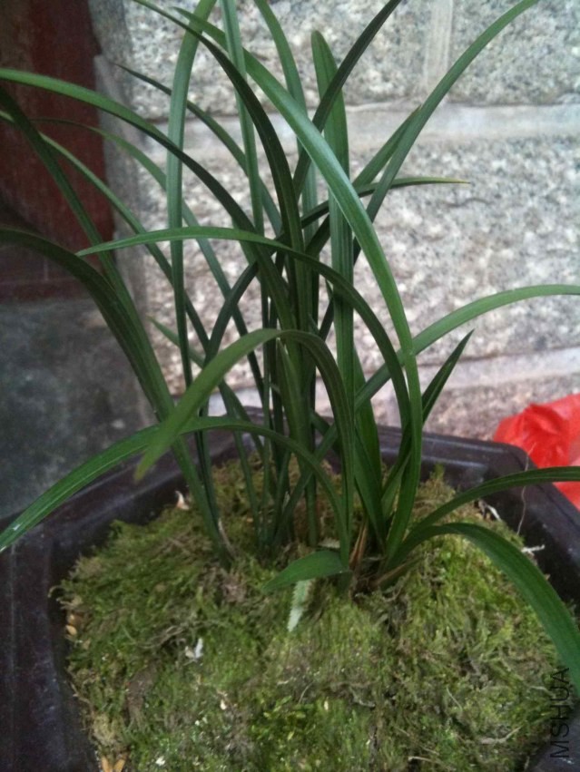 2013-12-24 144142(1).jpg