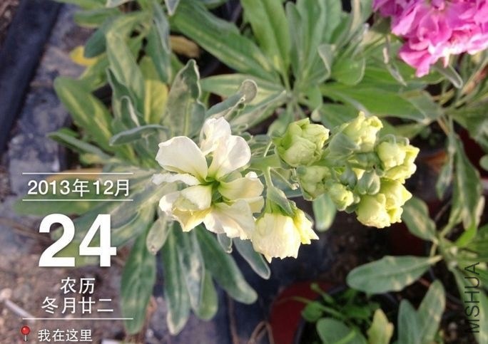 QQͼƬ20131224202257.jpg