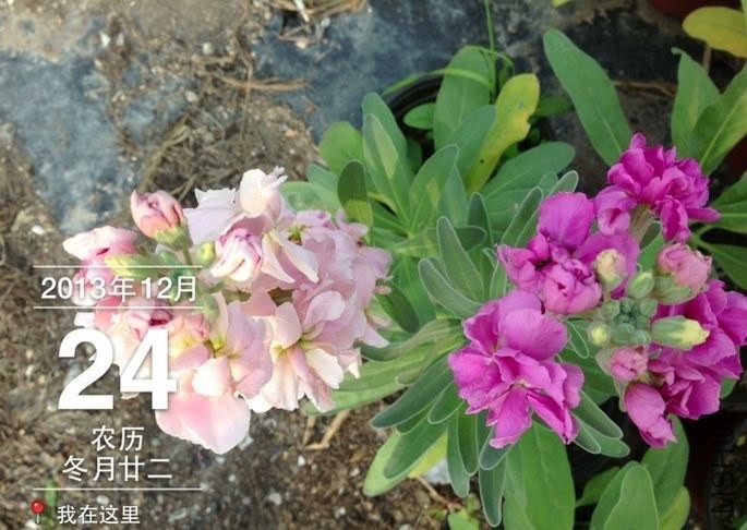 QQͼƬ20131224202305.jpg