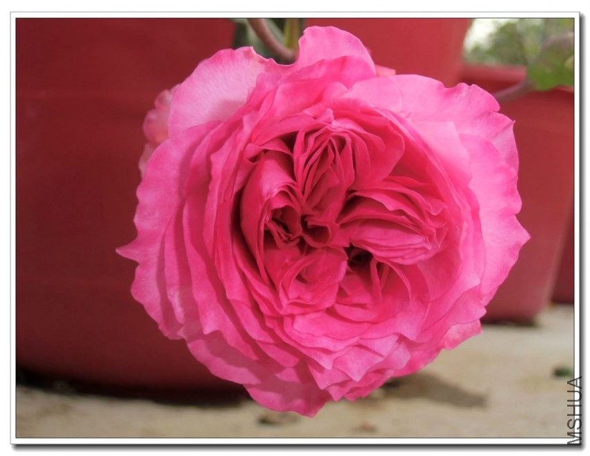 CIMG1242_����.jpg