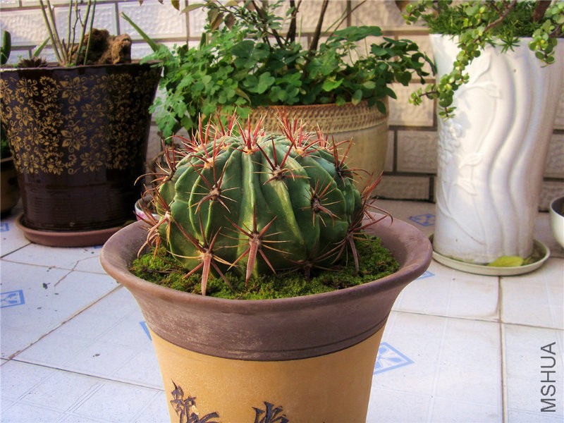 �ճ���02.jpg