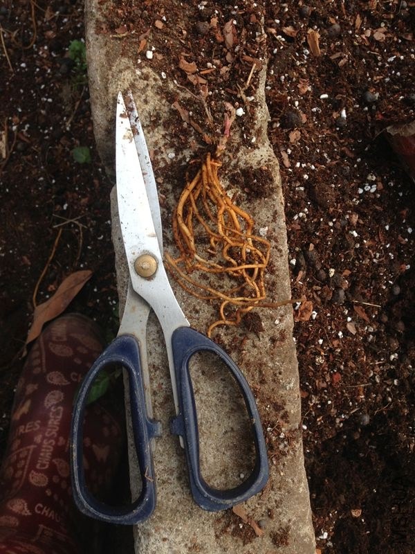 �����2�갢���ȣ�