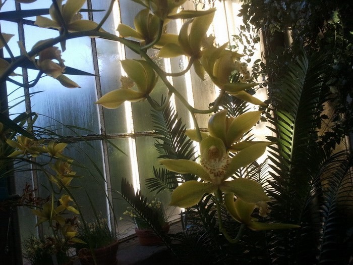 2013-12-26 12.06.28.jpg