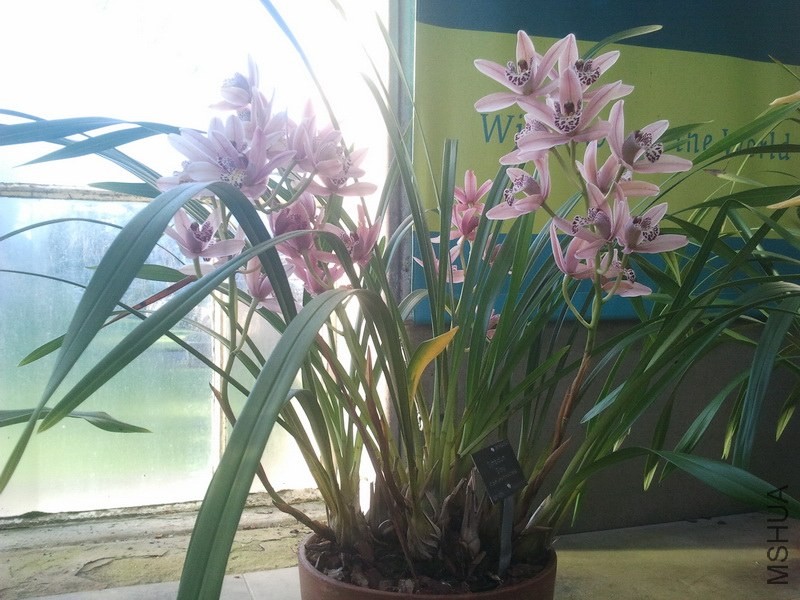 2013-12-26 12.06.41.jpg