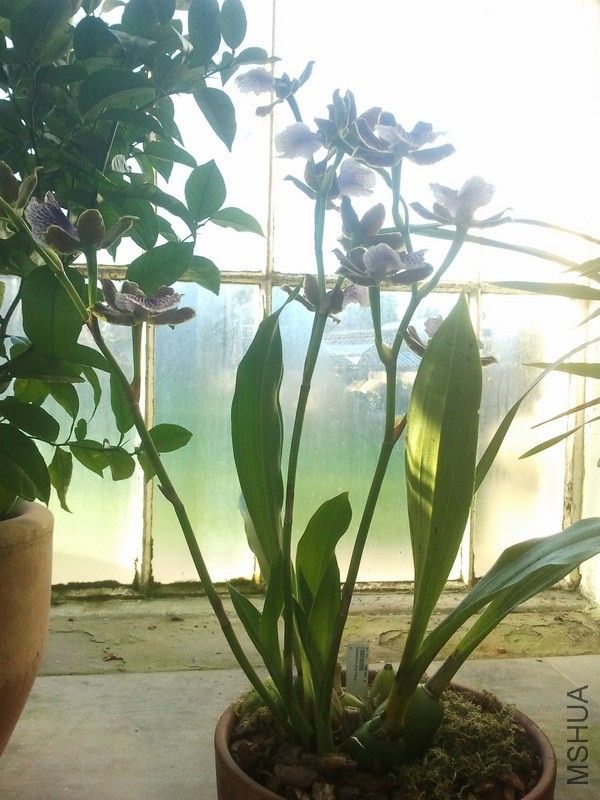 2013-12-26 12.07.01.jpg