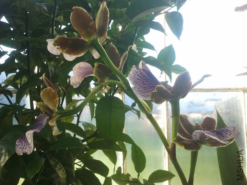2013-12-26 12.07.11.jpg
