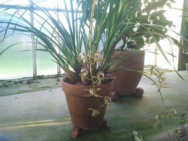 2013-12-26 12.07.33.jpg