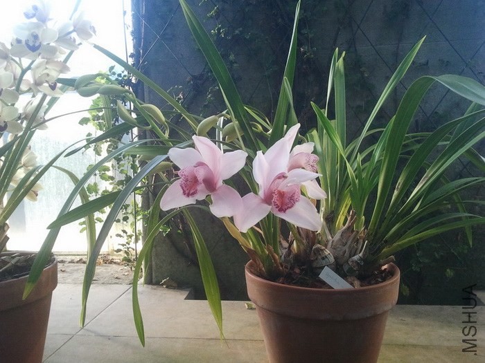 2013-12-26 12.08.12.jpg