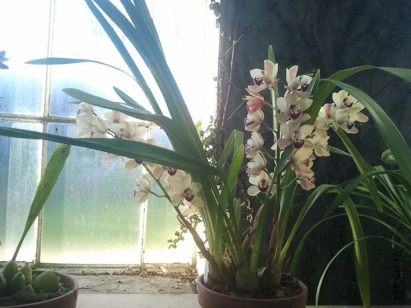 2013-12-26 12.08.32.jpg
