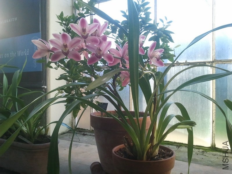 2013-12-26 12.09.25.jpg
