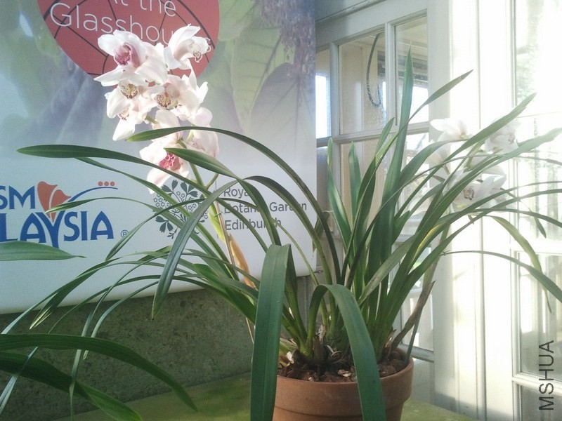2013-12-26 12.10.39.jpg