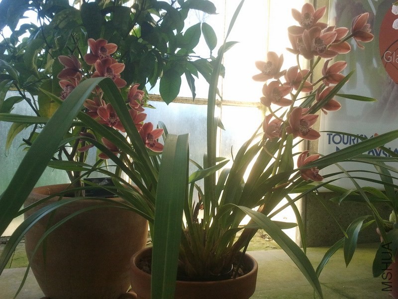 2013-12-26 12.11.04.jpg