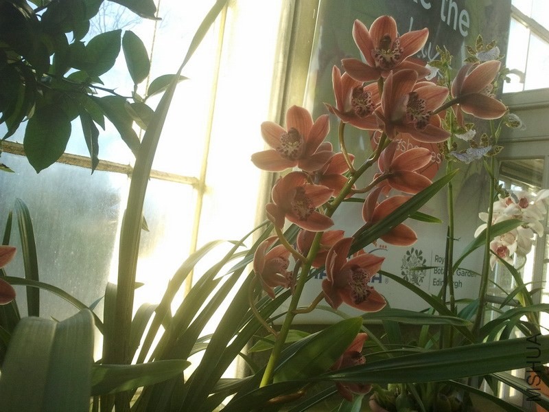 2013-12-26 12.11.25.jpg