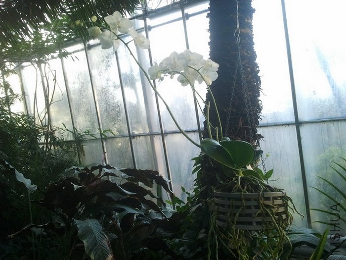 2013-12-26 12.14.56.jpg