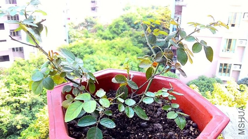 20131228132659.jpg