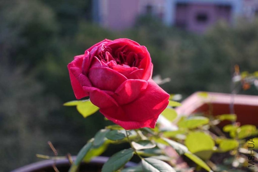 P1080559.JPG