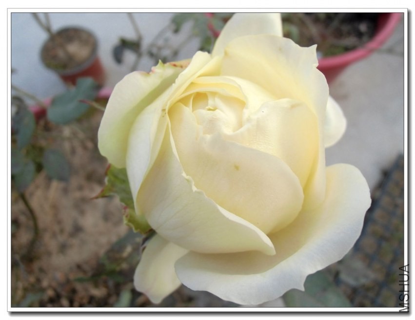 CIMG1268_����.jpg