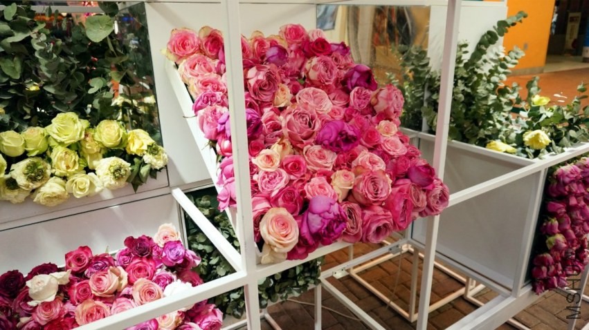 psb (9).jpg