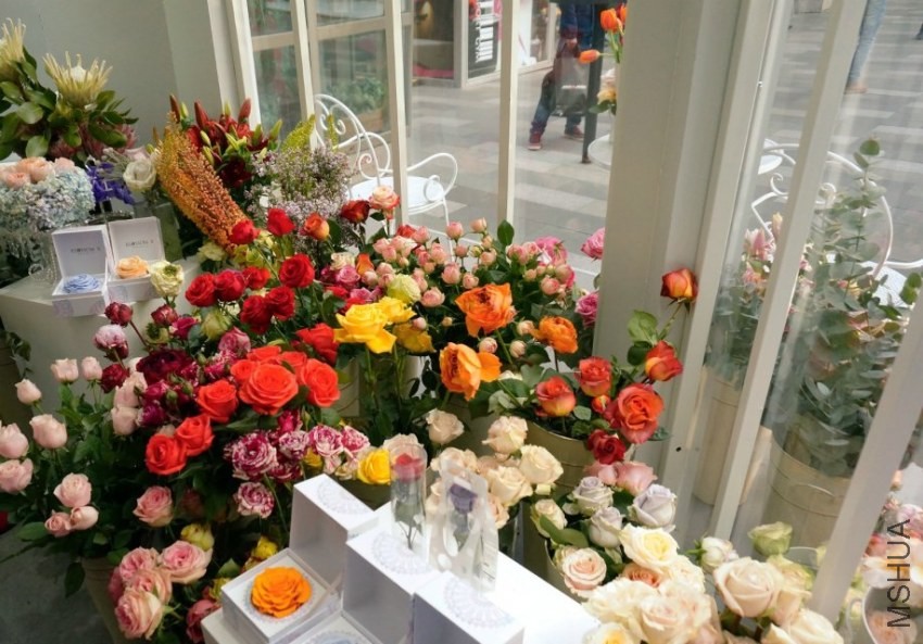 psb (10).jpg
