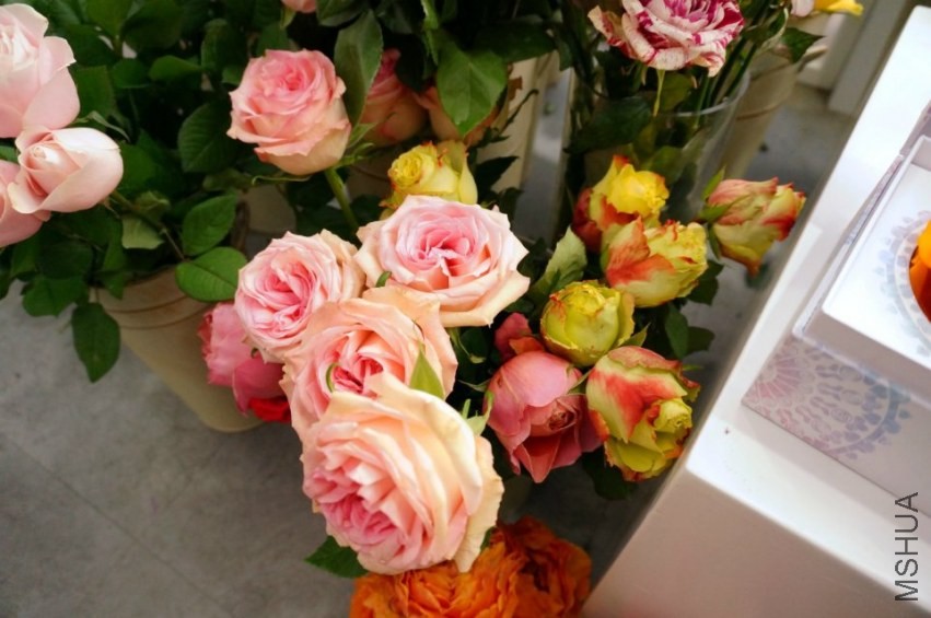 psb (12).jpg