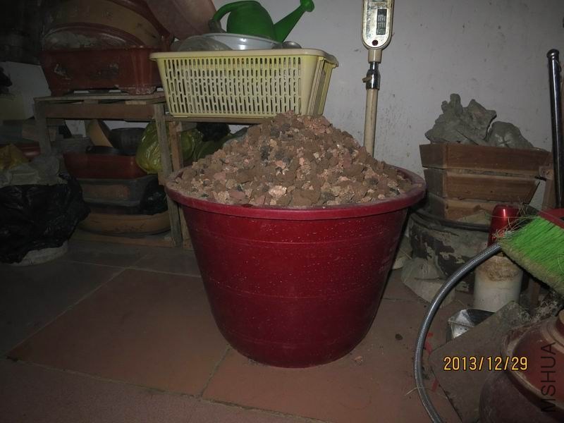 44.jpg