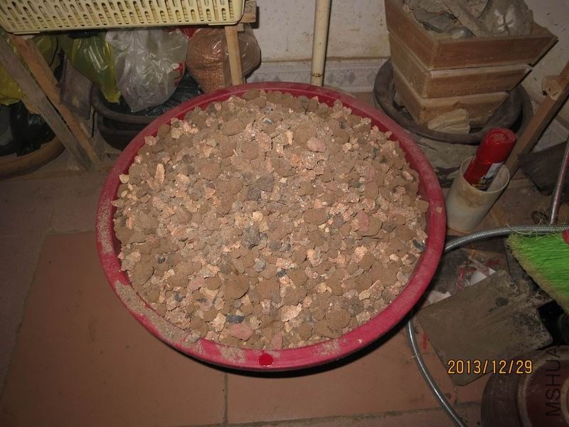 55.jpg