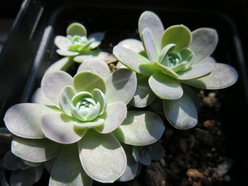 QQͼƬ20131230164550.jpg
