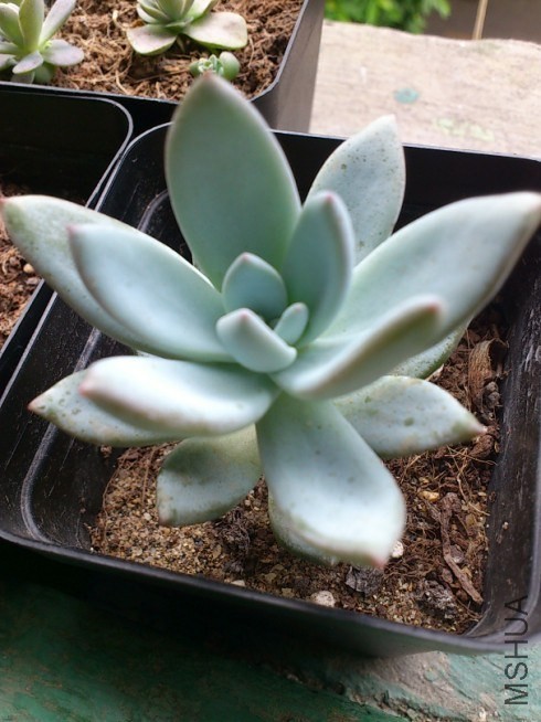 QQͼƬ20131230170040.jpg
