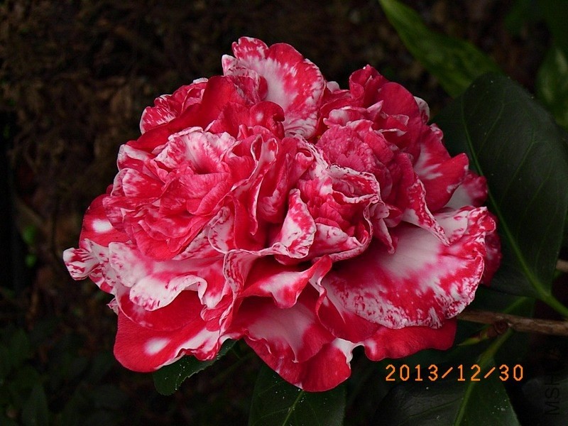 ɪ����b2.JPG