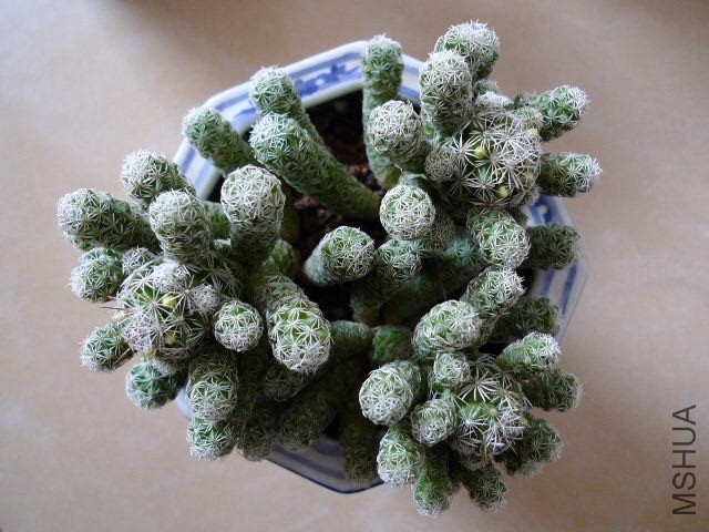 P1030012.JPG